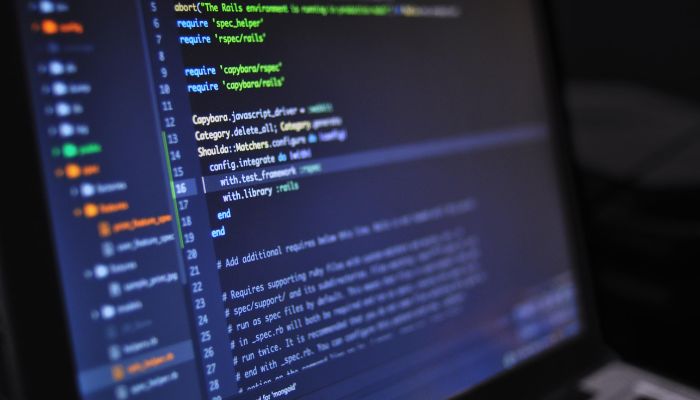 Web Development Service